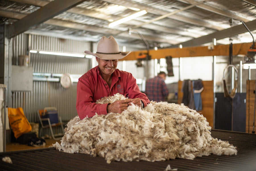 What is Merino Wool? A Parent’s Guide to Its Benefits for Kids